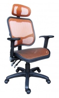 all mesh chair with two function mechanism.  Adjustable arm with PU pad.